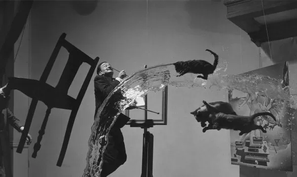 suprarealism poza generala