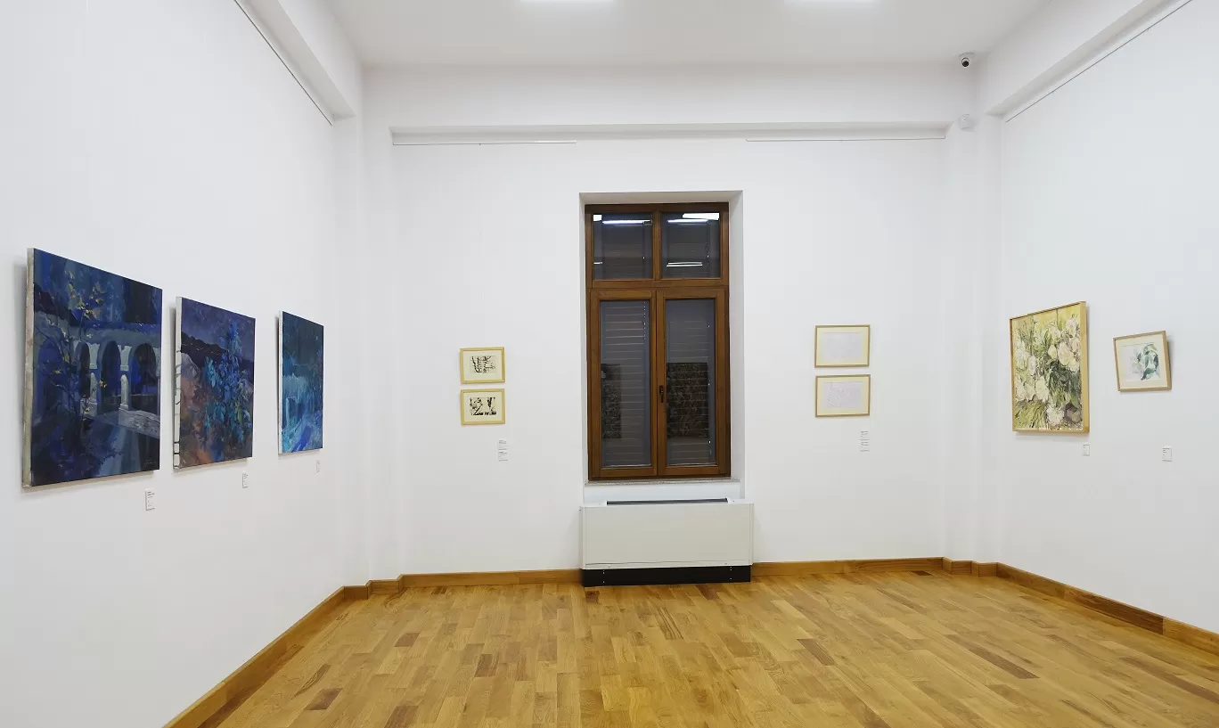 14. installation view darul vederii casa artelor galaţi 2025