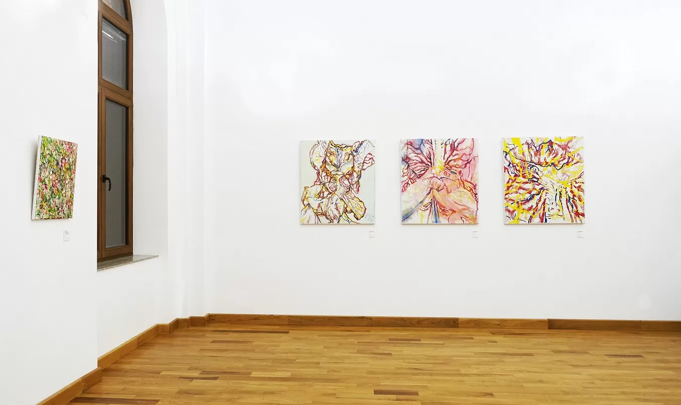 2. installation view darul vederii casa artelor galaţi 2025