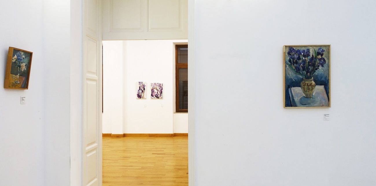 6. installation view darul vederii casa artelor galaţi 2025