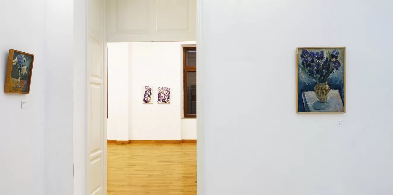 6. installation view darul vederii casa artelor galaţi 2025