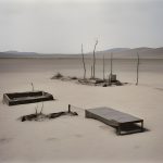 adrian sorin sinescu