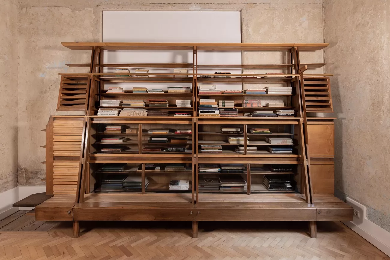 biblioteca alifanti marius vasile