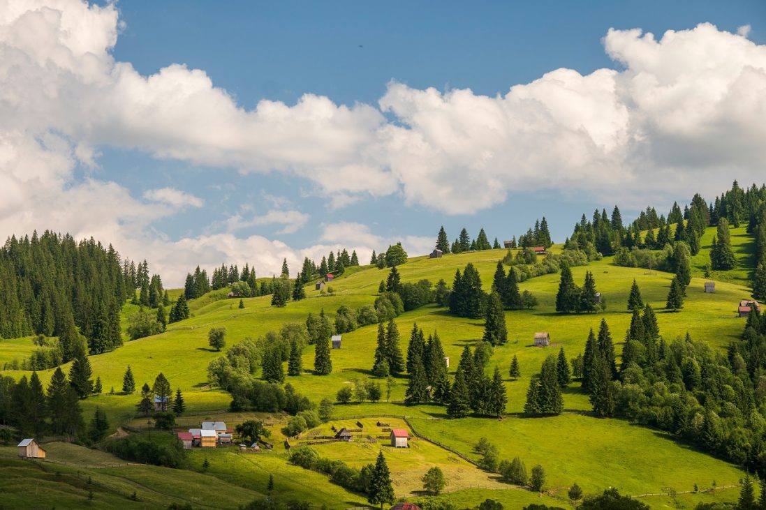 bucovina, shutterstock, curatorial