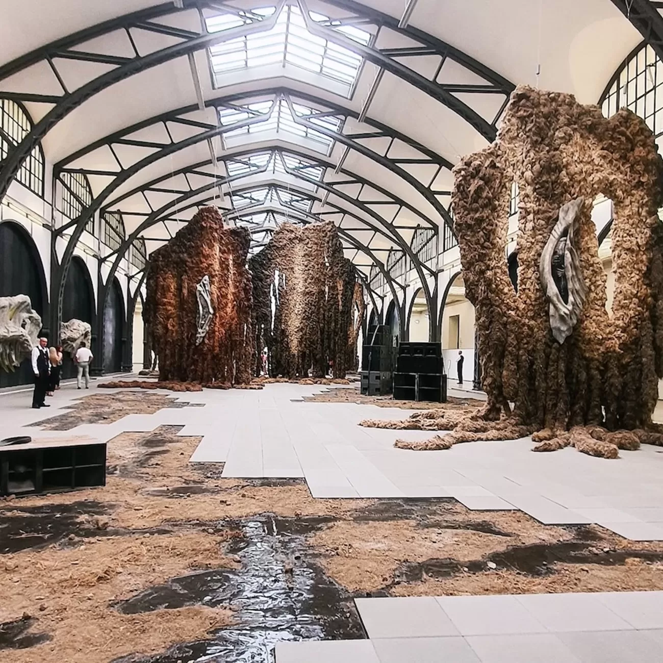 celula free air berlin @bogdan baractaru 1