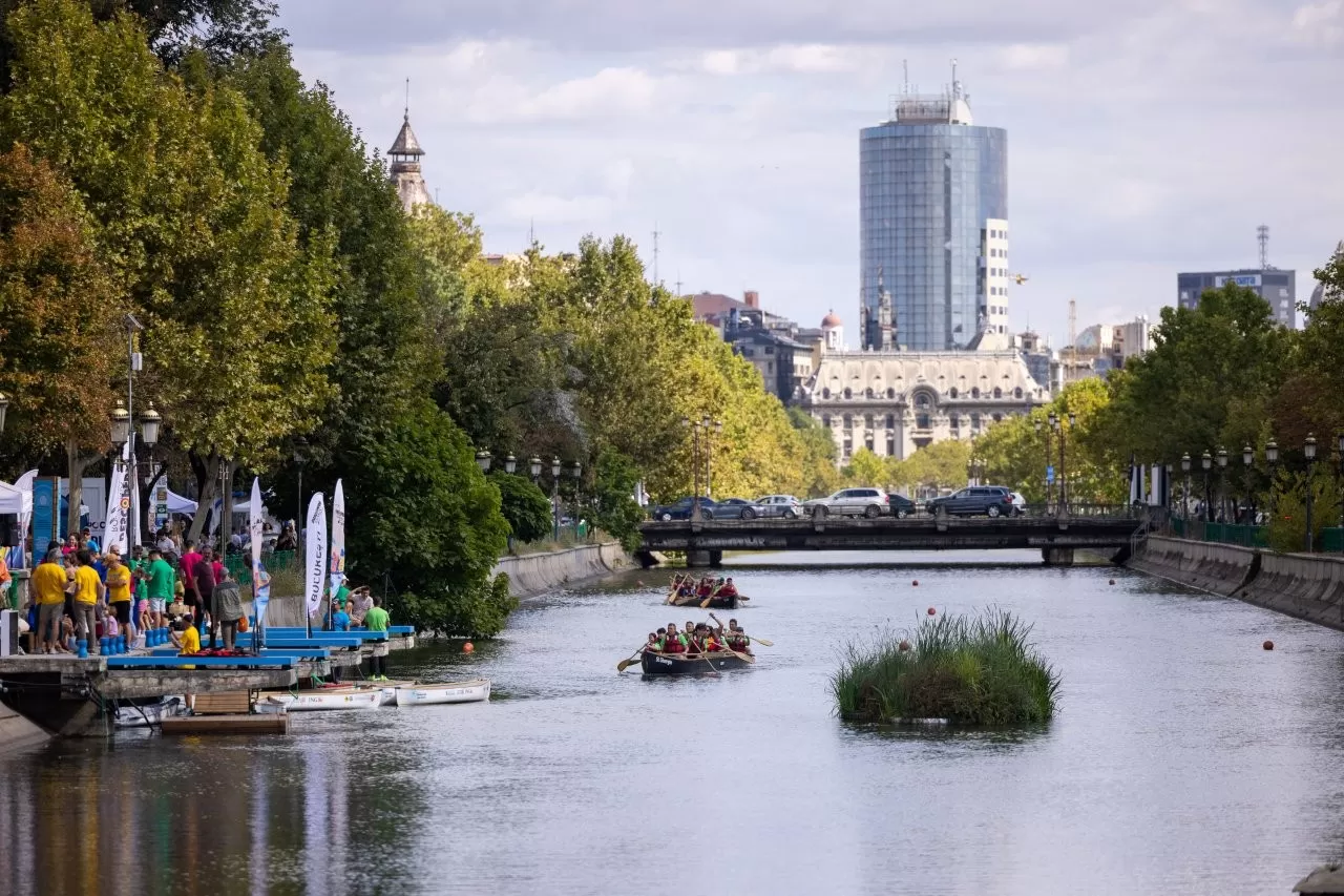 dad debarcader operă dâmbovița zero plastic 2