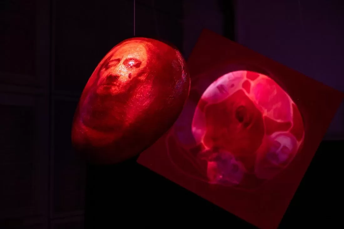 grădina deliciilor sintetice the gaze of no return 3