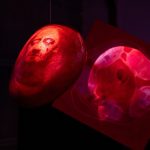 grădina deliciilor sintetice the gaze of no return 3