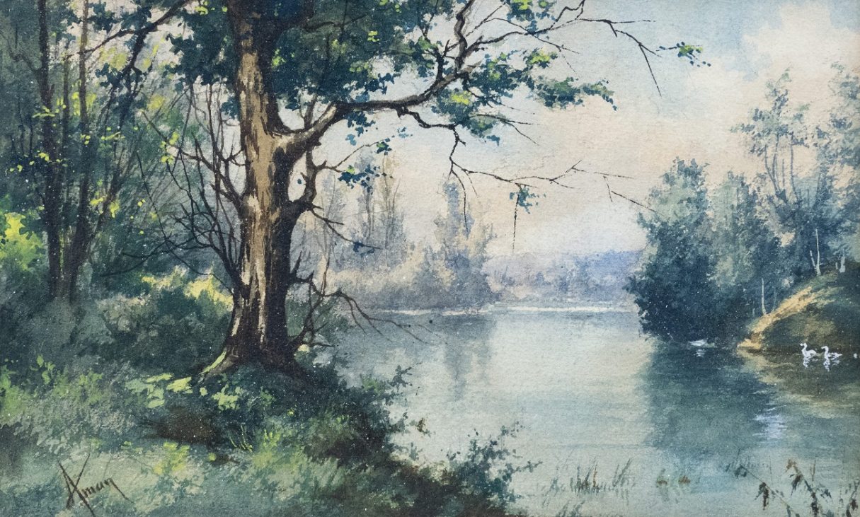 lacul din pădure, theodor aman