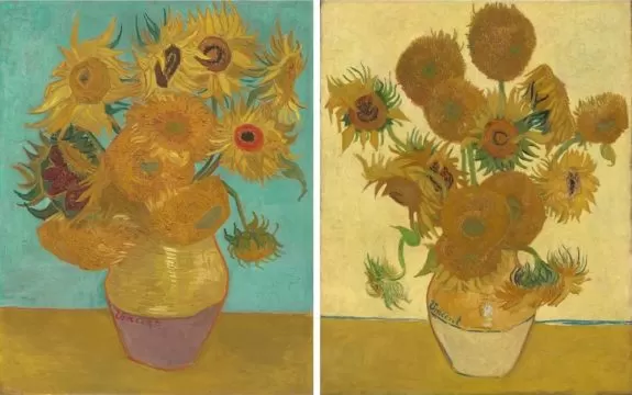 philadelphia art museum sunflowers (1889); national gallery london sunflowers (1888)
