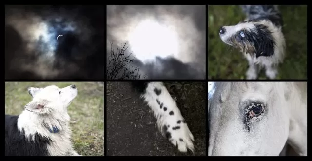 the paw eclipse, you never did anything wroong, nan goldin