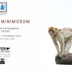 expozitie aliz lőcsei, layer artist run space