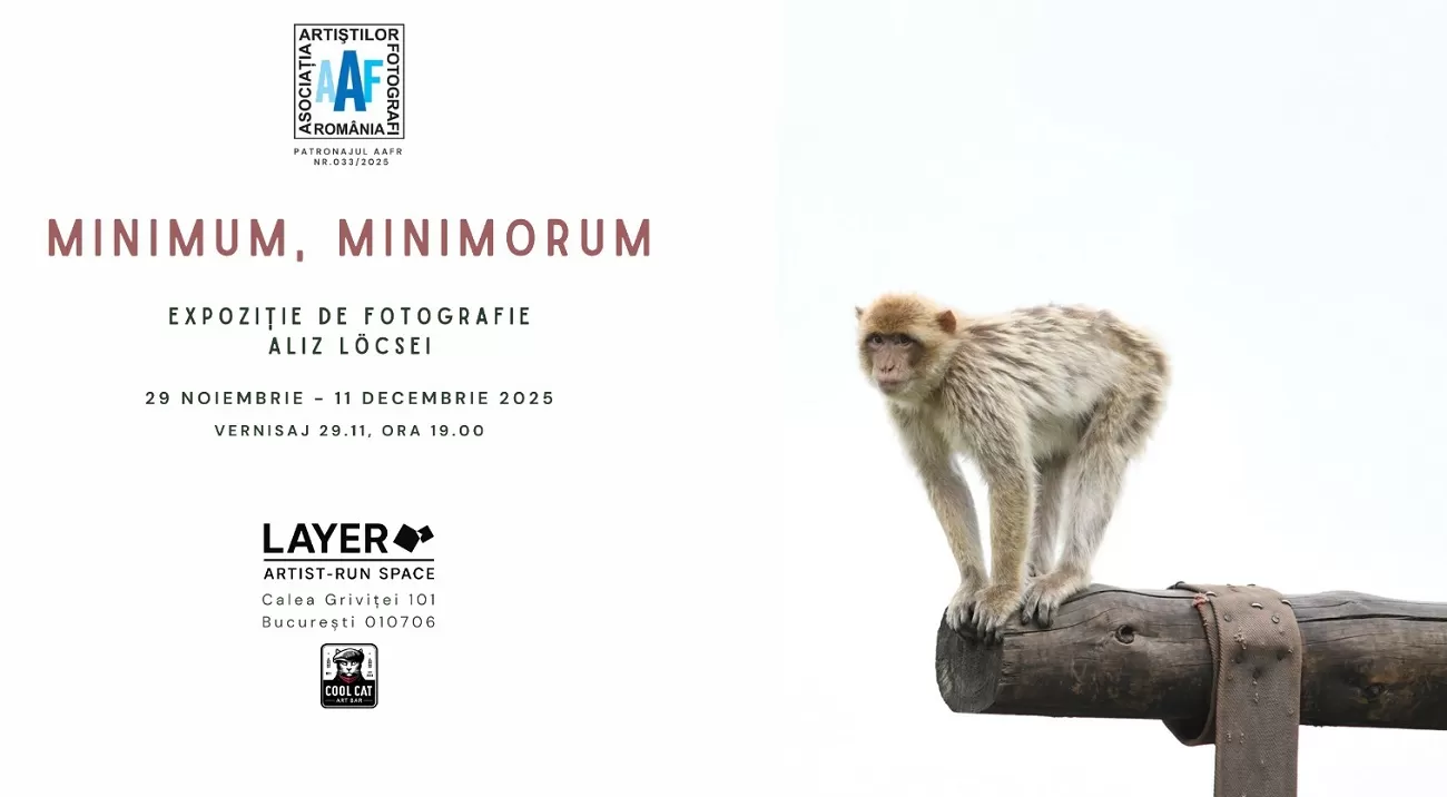 expozitie aliz lőcsei, layer artist run space