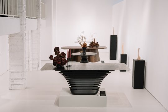 expozitie nord arin @ gaep, nov 2025