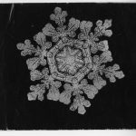 bentley snowflake 591