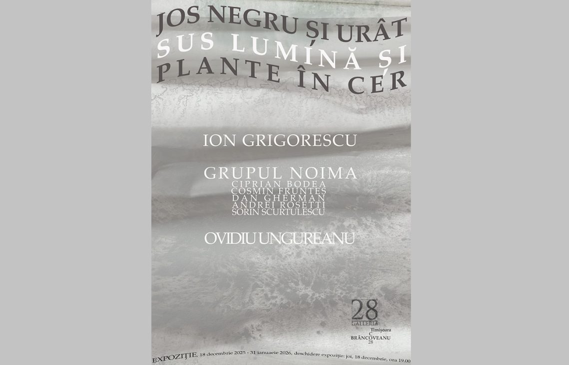 afis galleria 28 grigorescu noima ungureanu 2025