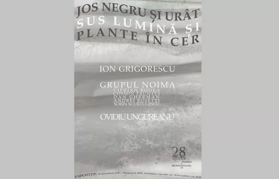 afis galleria 28 grigorescu noima ungureanu 2025
