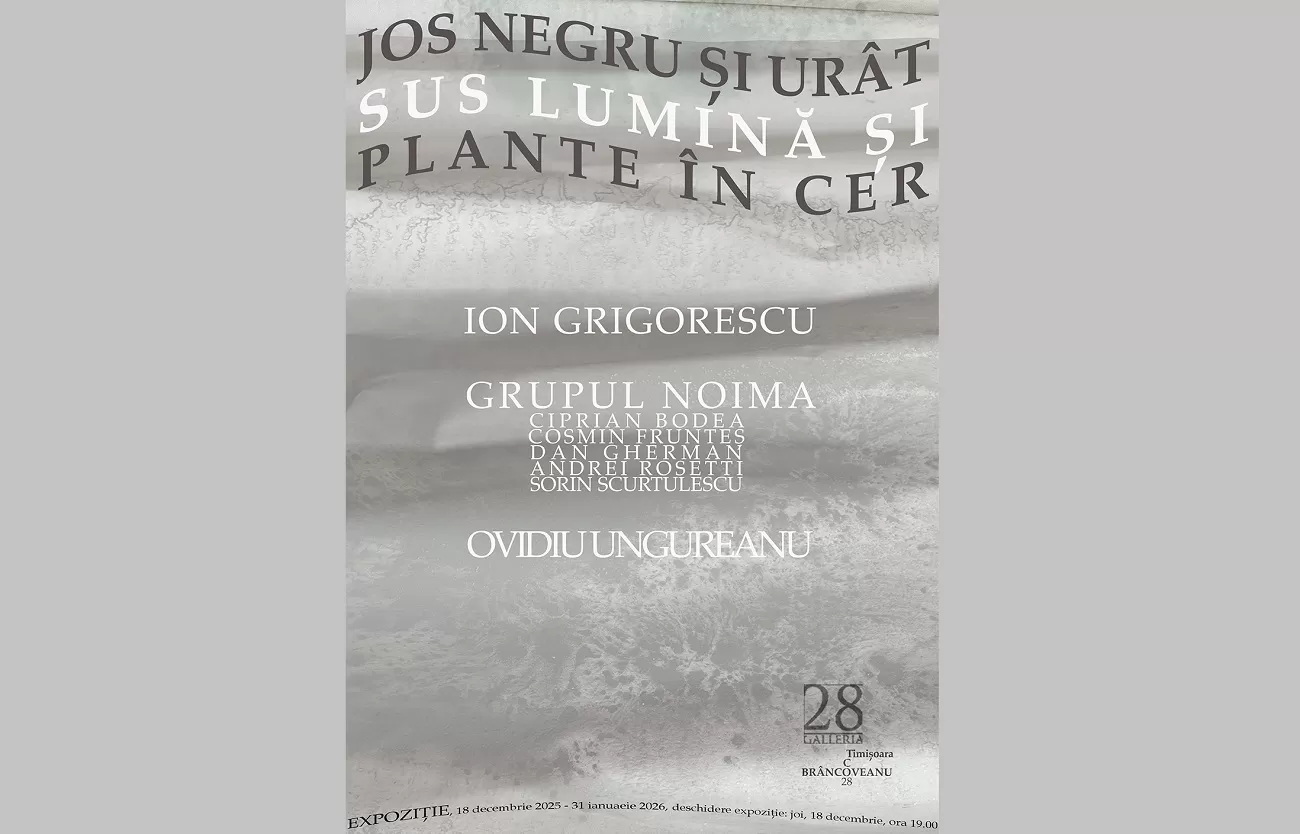 afis galleria 28 grigorescu noima ungureanu 2025