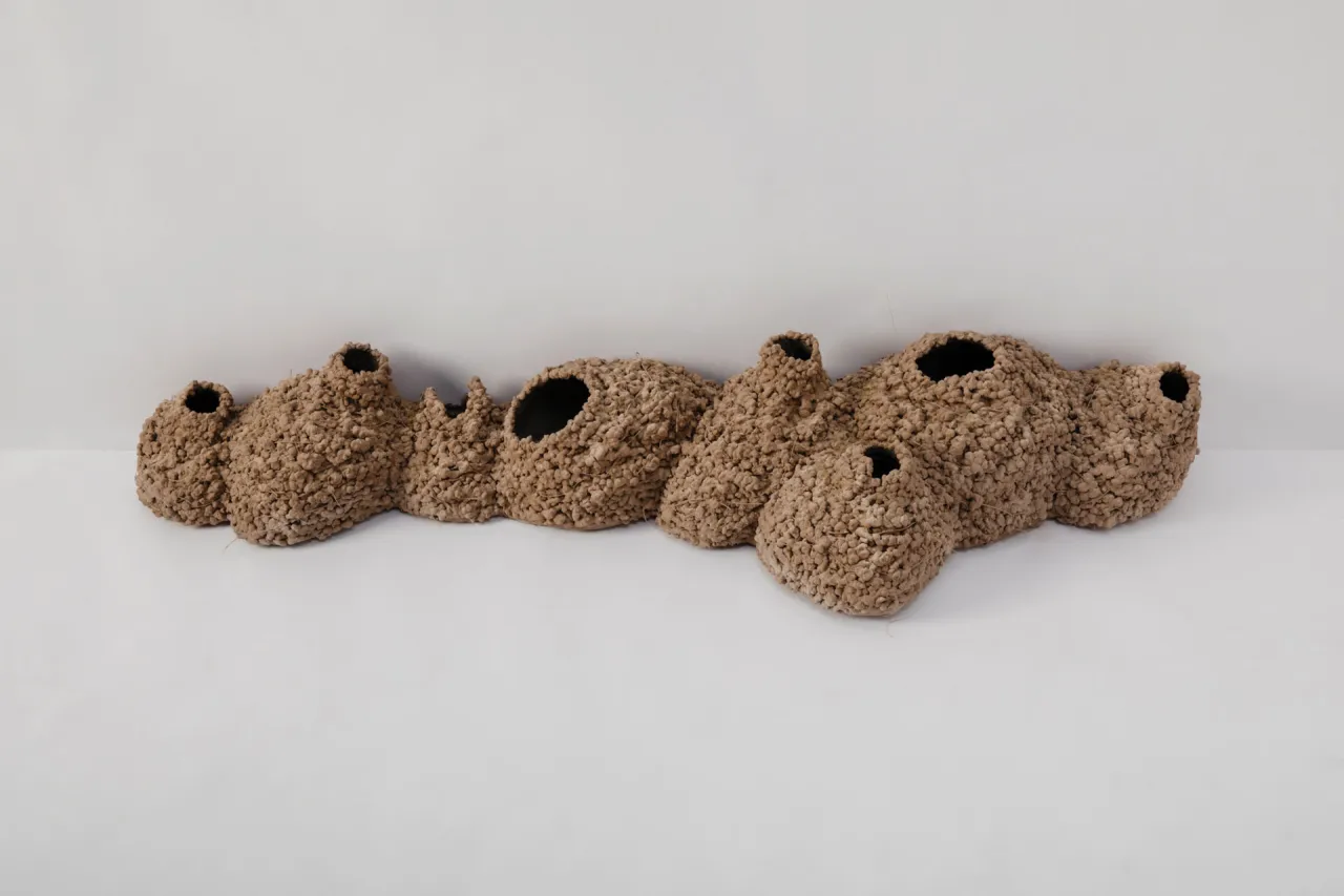 asunción molinos gordo, los antiguos, 2024