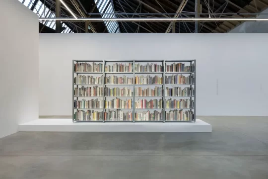 saâdane afif, the fountain archives (bookshelves), 2022