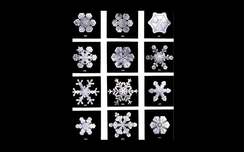 wilson bentley, primul fotograf al fulgilor de zapada