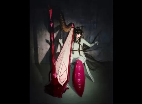 bjork reykavik arts festival