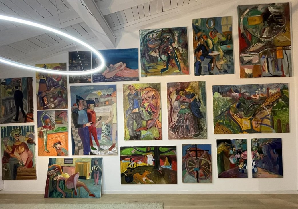 expozitie deniz constantin, curatorial