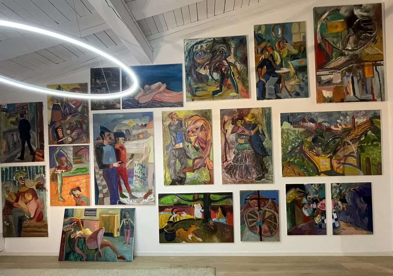 expozitie deniz constantin, curatorial