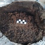 fasole amfora pompei