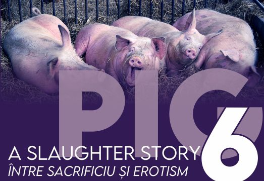 pig slaughter 2025