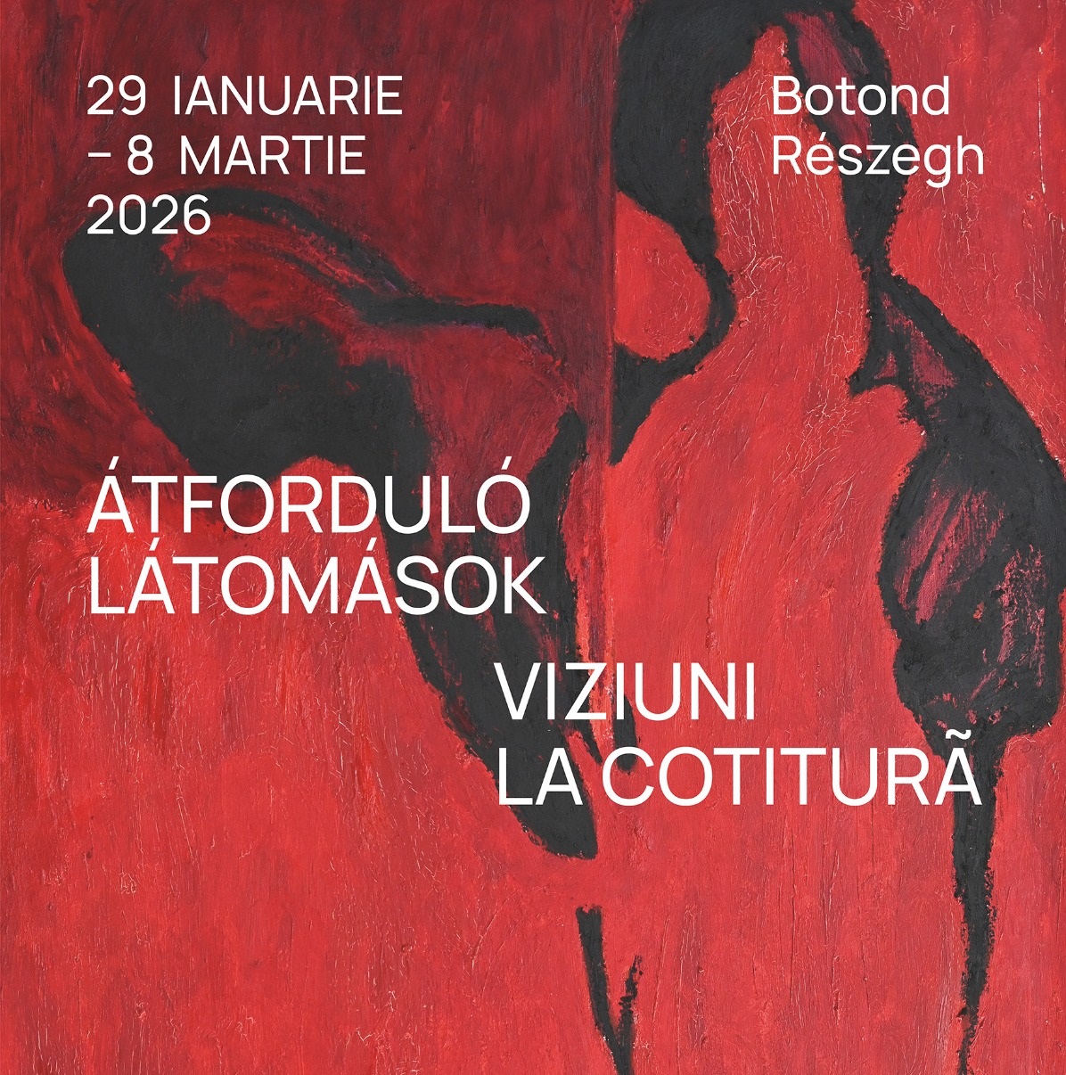 afiș – rÉszegh botond – viziuni la cotitură