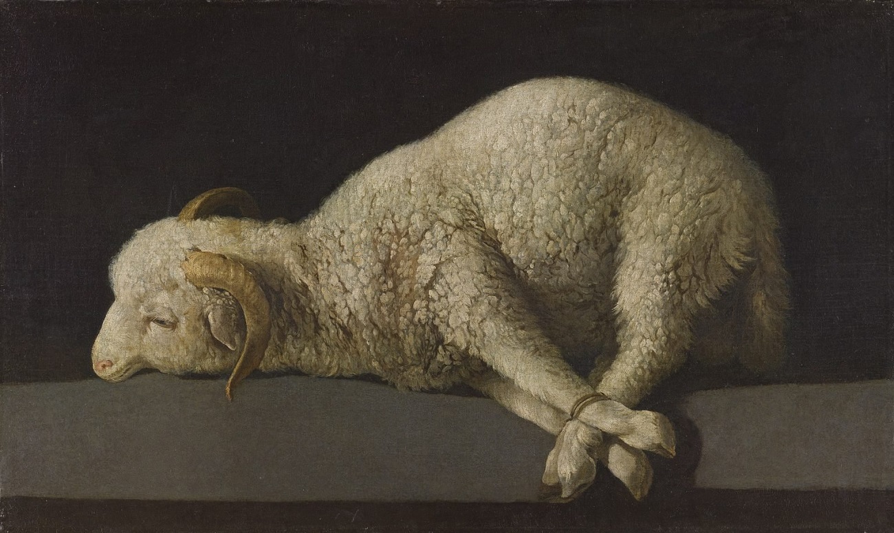 francisco de zurbarán, agnus dei, 1635 - 1640