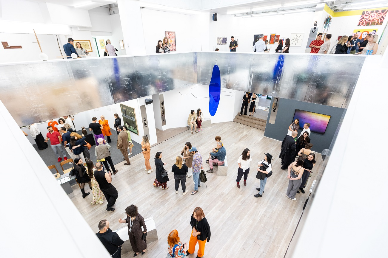 rad art fair 2025 copyright rares toma