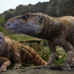 dinozaur, ferenceratops shqiperorum, hateg