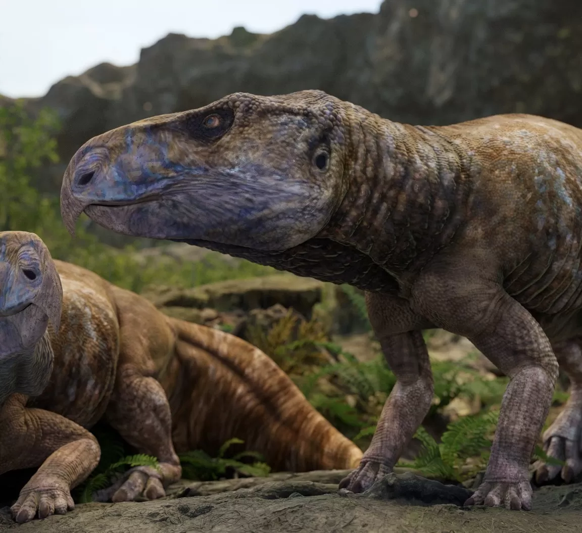 dinozaur, ferenceratops shqiperorum, hateg