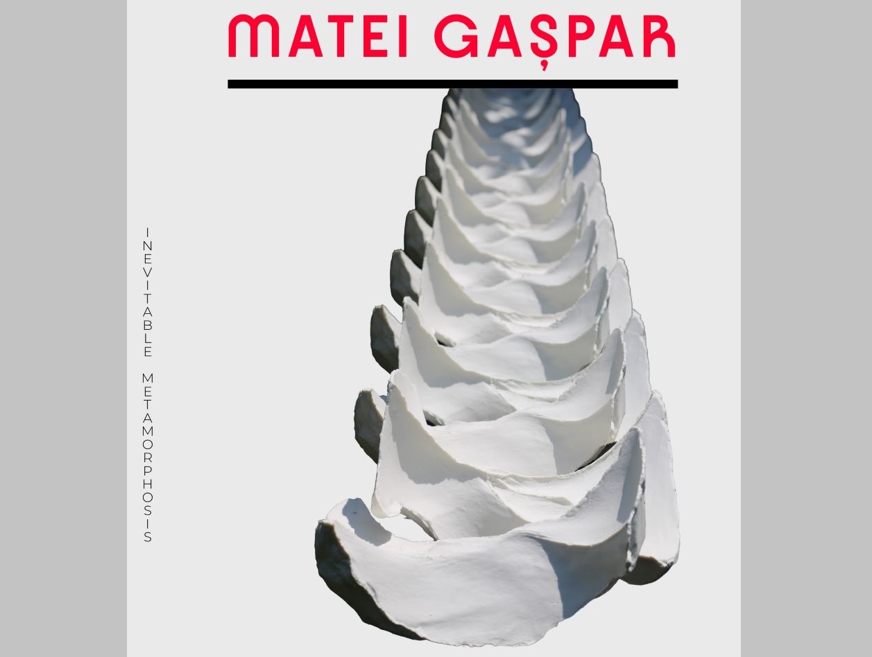 transformari inevitabile, matei gaspar