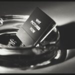 why pictures now, louise lawler