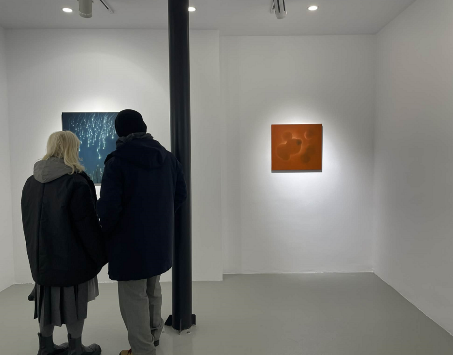 4 andrei gamarț, la mobius, curatorial