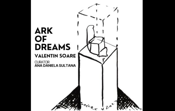 afiș solo show valentin soare