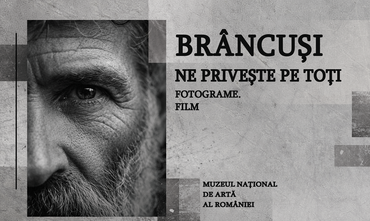 brancusi ne priveste pe toti, mnar, bucuresti