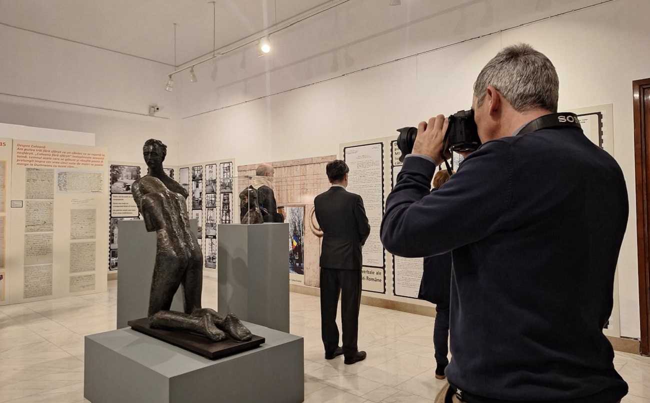 brancusi ne priveste2, curatorial