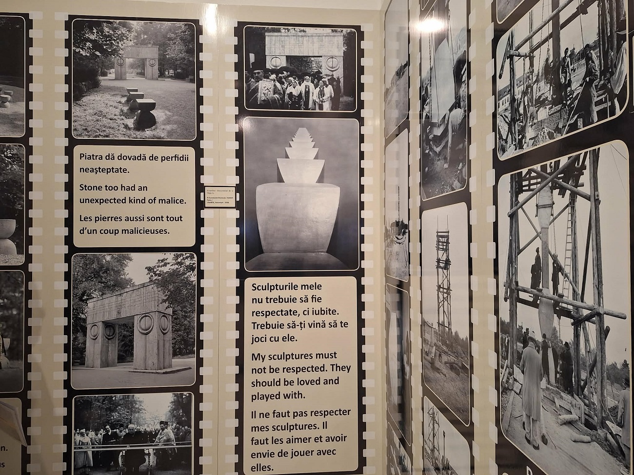 brancusi ne priveste5, curatorial