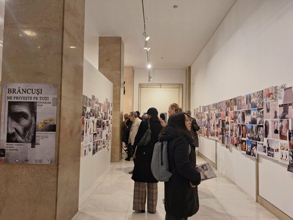 brancusi ne priveste8, curatorial