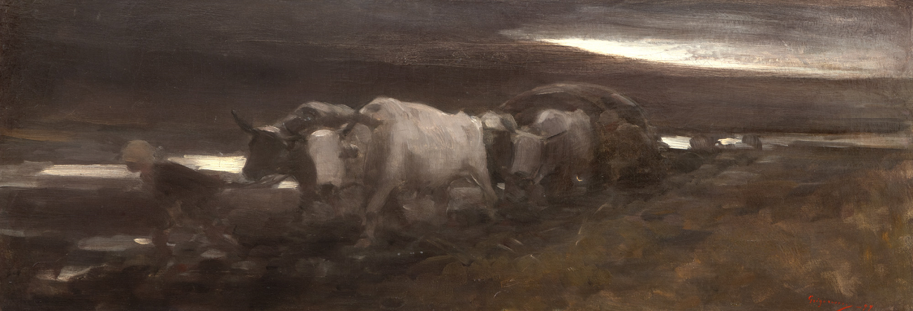car cu boi la asfințit, nicolae grigorescu