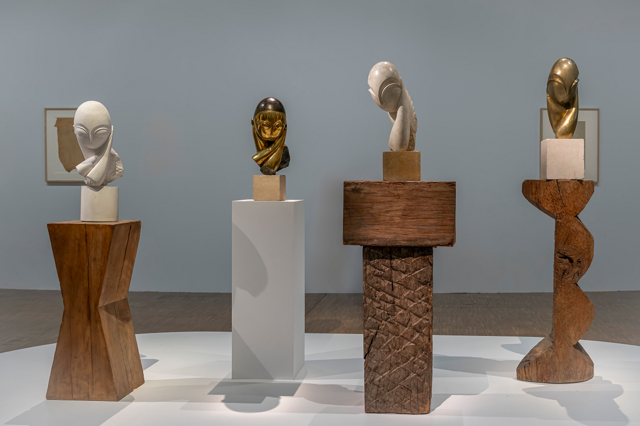 domnisoara pogany, serie, constantin brancusi, paris, shutterstock, curatorial