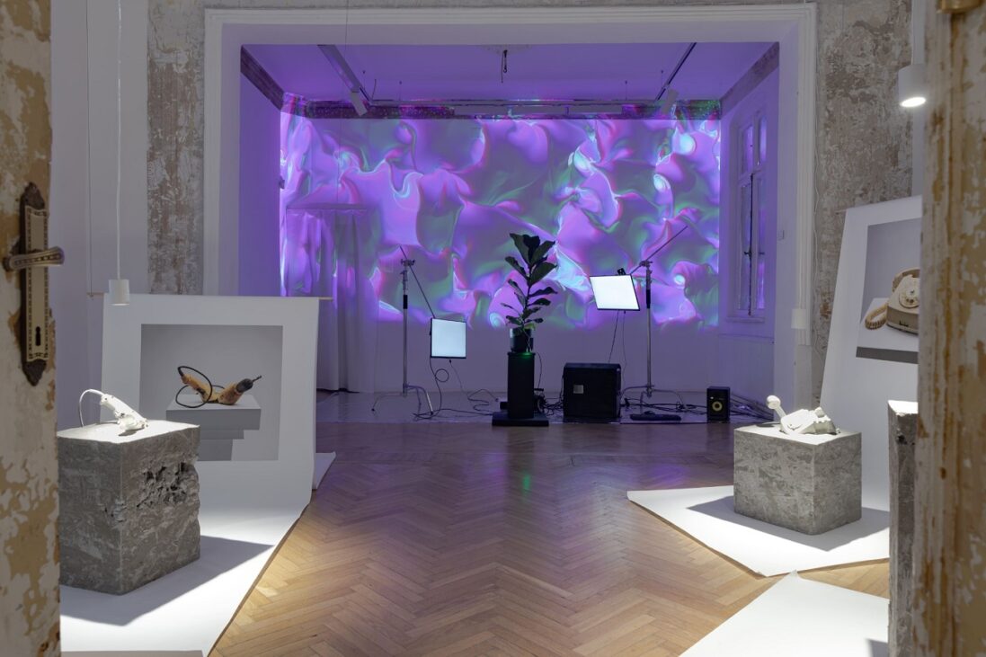 galeria anca poterasu, internexus of (living) things