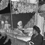 lee friedlander, connecticut, 1966