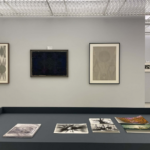 stefan bertalan, mare, curatorial