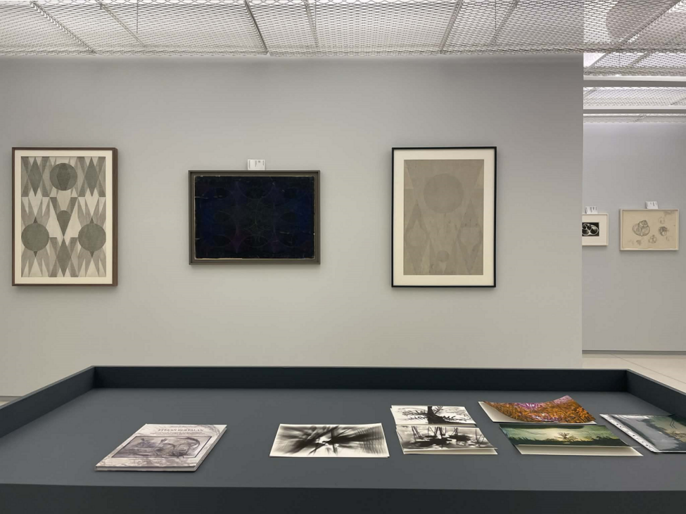 stefan bertalan, mare, curatorial