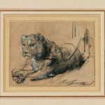 young lion resting, rembrandt